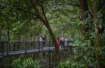 Full-day Daintree and traditional Aboriginal fishing experience