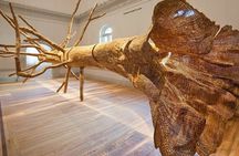Washington DC Smithsonian American Art Museum and National Portrait Gallery private tour