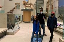 Washington DC Museum of Natural History private tour for families