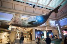 NYC American Museum of Natural History family private tour