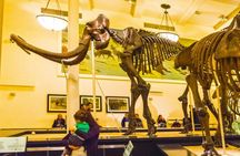 NYC American Museum of Natural History family private tour