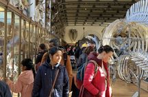 NYC American Museum of Natural History family private tour