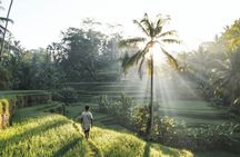 Best of Ubud private day tour