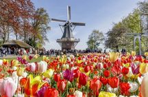 Day Trip to Keukenhof, Tulip Farm and Windmill Cruise