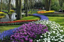 Tour from Amsterdam to Keukenhof with countryside and windmill cruise