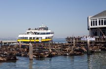 San Francisco Bus, Boat, and Bike Adventure
