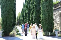 Private tailored Los Angeles sightseeing group tour