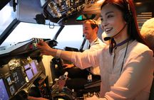 Boeing 737 virtual flight experience