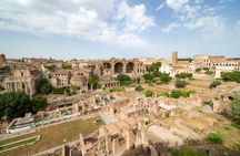 Private tour of Colosseum, Roman Forum and Palatine Hill with local guide