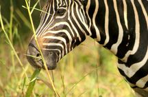 Fathala Wildlife Reserve  full-day tour