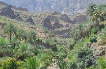 Private Tour to Wadi Sahtan and Natural Pools from Muscat with Lunch