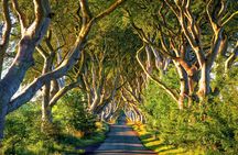 Giant's Causeway, Dark Hedges, and Belfast Tour from Dublin