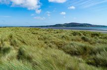 Dublin Bull Island guided walking tour