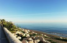 Guided tour of Malaga’s fishing scene with cooking workshop