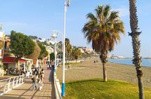 Guided tour of Malaga’s fishing scene with cooking workshop