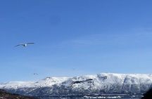 Arctic fishing in Tromsø
