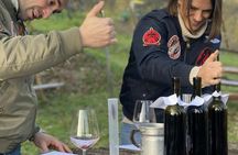 Wine experience in Piedmont