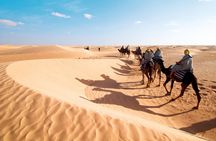 Desert safari by quad bike and 4x4 with Bedouin village dinner