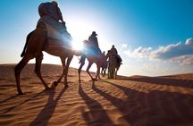 Desert safari by quad bike and 4x4 with Bedouin village dinner