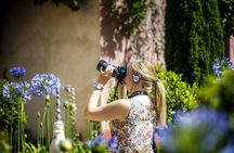Guided tour of Seville’s noble houses and grand gardens