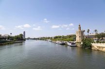 Seville skyline walking tour with Metropol Parasol visit