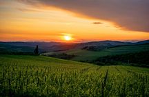 Day Tour from Florence with lunch and wine-tasting in Chianti