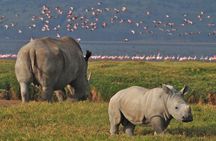 Four-day Kenyan wildlife safari through Tsavo East and Amboseli
