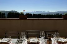 Historic Villa Travignoli cellar tour and wine tasting