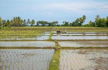 Rural villages and sacred caves cycling adventure in Lombok with lunch