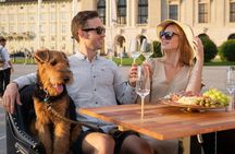 Private Vienna wine tasting tour in an electric vehicle