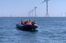 Cruise to the wind farms