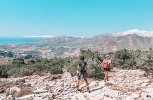 Profitis Ilias guided hike summit views and island stories