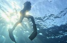 Zodiac boat tour and snorkelling at Isla del Fraile from Águilas