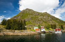 Three-hour Trollfjord and Raftsundet cruise from Svolvær