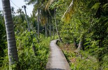 Bangkok bike ride and long-tail boat tour with Thai meal