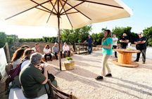 Walking experience with slow aperitif in the historic citrus grove