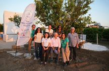 Walking experience with slow aperitif in the historic citrus grove