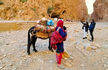 3-day private desert trip from Marrakech to Merzouga with overnight in Bedouin camp