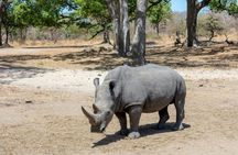 Fathala Wildlife Reserve full-day tour