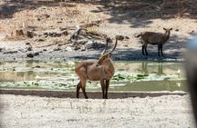 Fathala Wildlife Reserve full-day tour