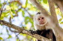 3-Day Botanika Osa Rainforest Experience