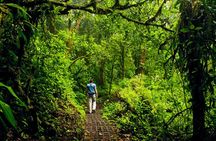 3-Day Botanika Osa Rainforest Experience