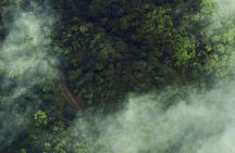 3-Day Botanika Osa Rainforest Experience