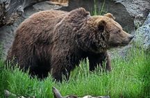 Wilder Institute/Calgary Zoo: Entry Ticket