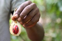Spice Tour of Zanzibar