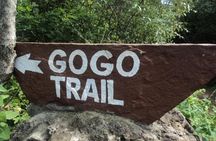 Tour to Giraffe Center from Nairobi