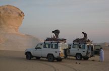 Private 2-Day White Desert and Bahariya Oasis Trip from Cairo