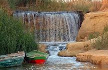Full-Day Fayoum Oasis and Waterfalls of Wadi El-Rayan Tour from Cairo