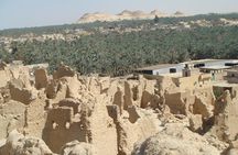 Budget Travel Package to Siwa Oasis from Cairo or Giza