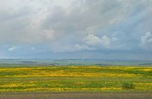 Explore the Ethiopian Rift Valley Lakes and the UNESCO Site of Steles of Tiya